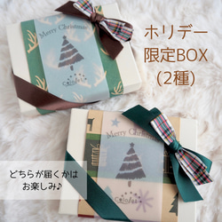 【選べるカラー】オーナメントなアクセサリー ホリデーBOX 18枚目の画像