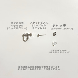 メロウカメオ 2枚目の画像