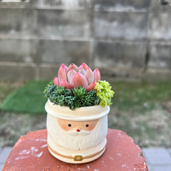 ☆送料無料☆♡そのまま飾れる♡クリスマス☆トナカイの多肉植物寄せ