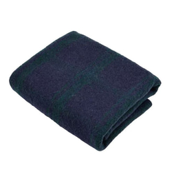 en-enヨーロッパ生地ウール８０%・モヘア調ドルマン袖コート・紺×グリーン格子 6枚目の画像