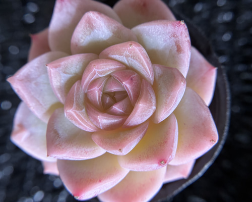 32b28639ea12a38d9702d7cb84e57b