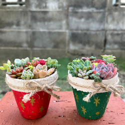 ☆送料無料☆♡そのまま飾れる♡クリスマス☆トナカイの多肉植物寄せ