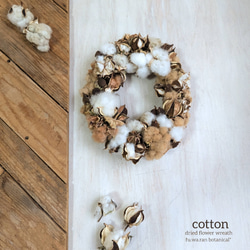 ☘️お得☘️ユーカリポポラス&ラムズイヤーのドライフラワースワッグ