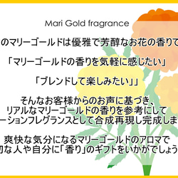 NOTO マリーゴールド 10ml MARIGOLD 千寿菊　フレグランスアロマオイル 3枚目の画像