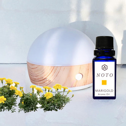 NOTO マリーゴールド 10ml MARIGOLD 千寿菊　フレグランスアロマオイル 5枚目の画像