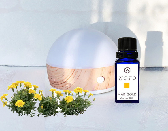 NOTO マリーゴールド 10ml MARIGOLD 千寿菊　フレグランスアロマオイル 5枚目の画像