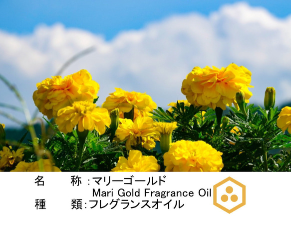 NOTO マリーゴールド 10ml MARIGOLD 千寿菊　フレグランスアロマオイル 2枚目の画像