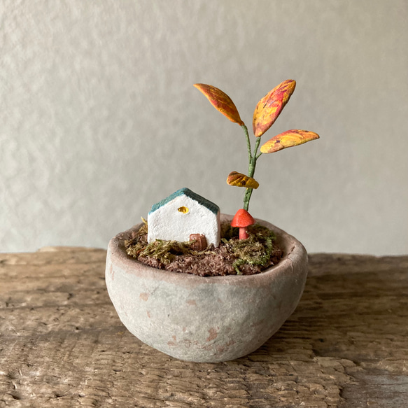 9875.bud 箱庭の秋 1枚目の画像