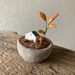 9875.bud 箱庭の秋 2枚目の画像