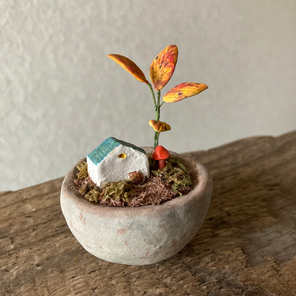 9875.bud 箱庭の秋 4枚目の画像