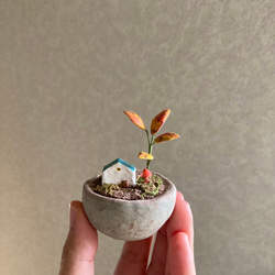 9875.bud 箱庭の秋 6枚目の画像