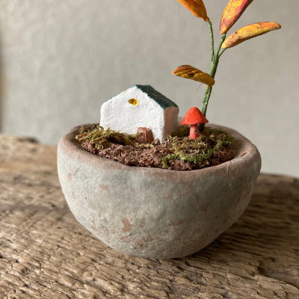 9875.bud 箱庭の秋 5枚目の画像