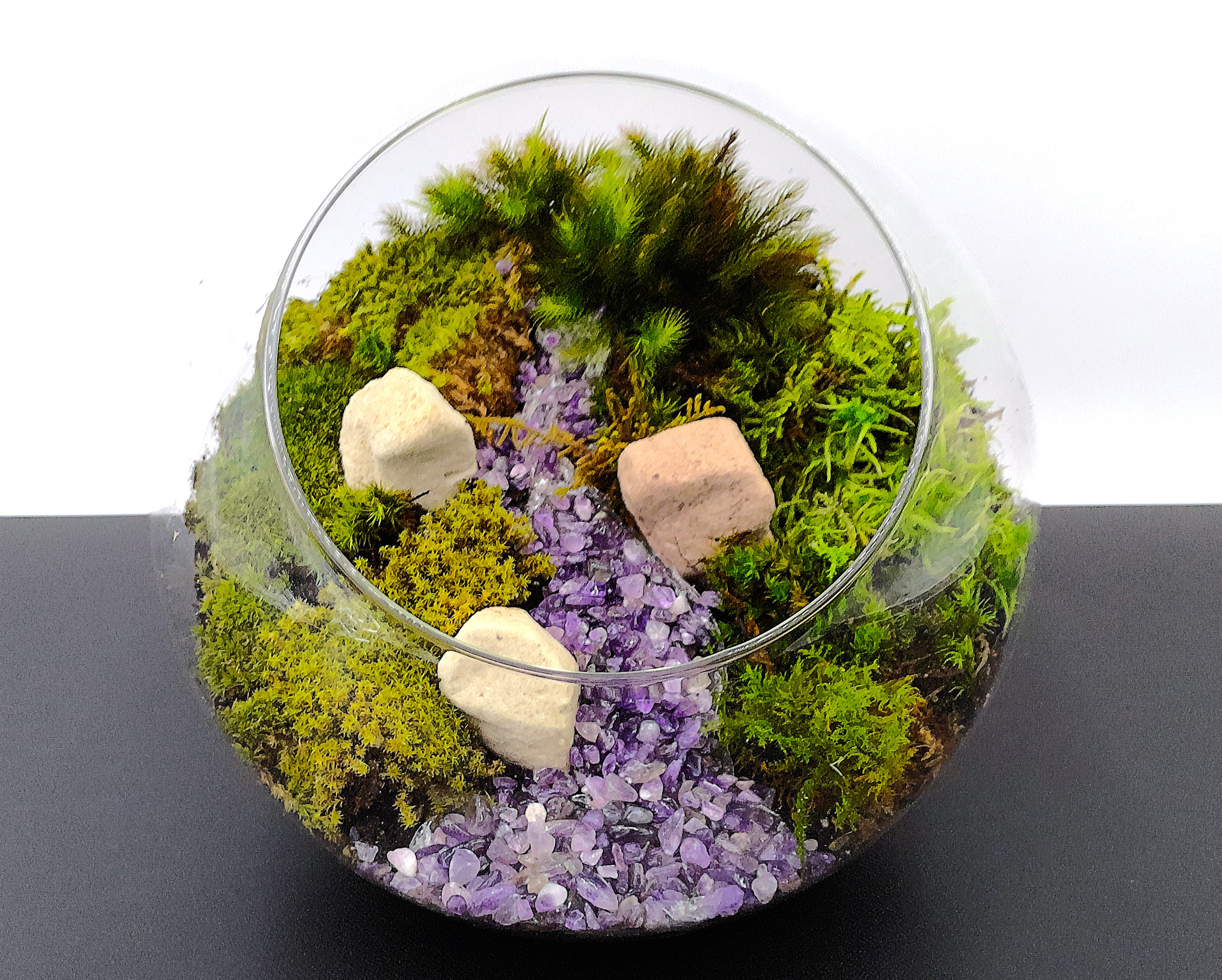 【ギフト専門】苔テラリウム 20cm ＜森と川＞タイプ（選べる天然石のさざれ石）