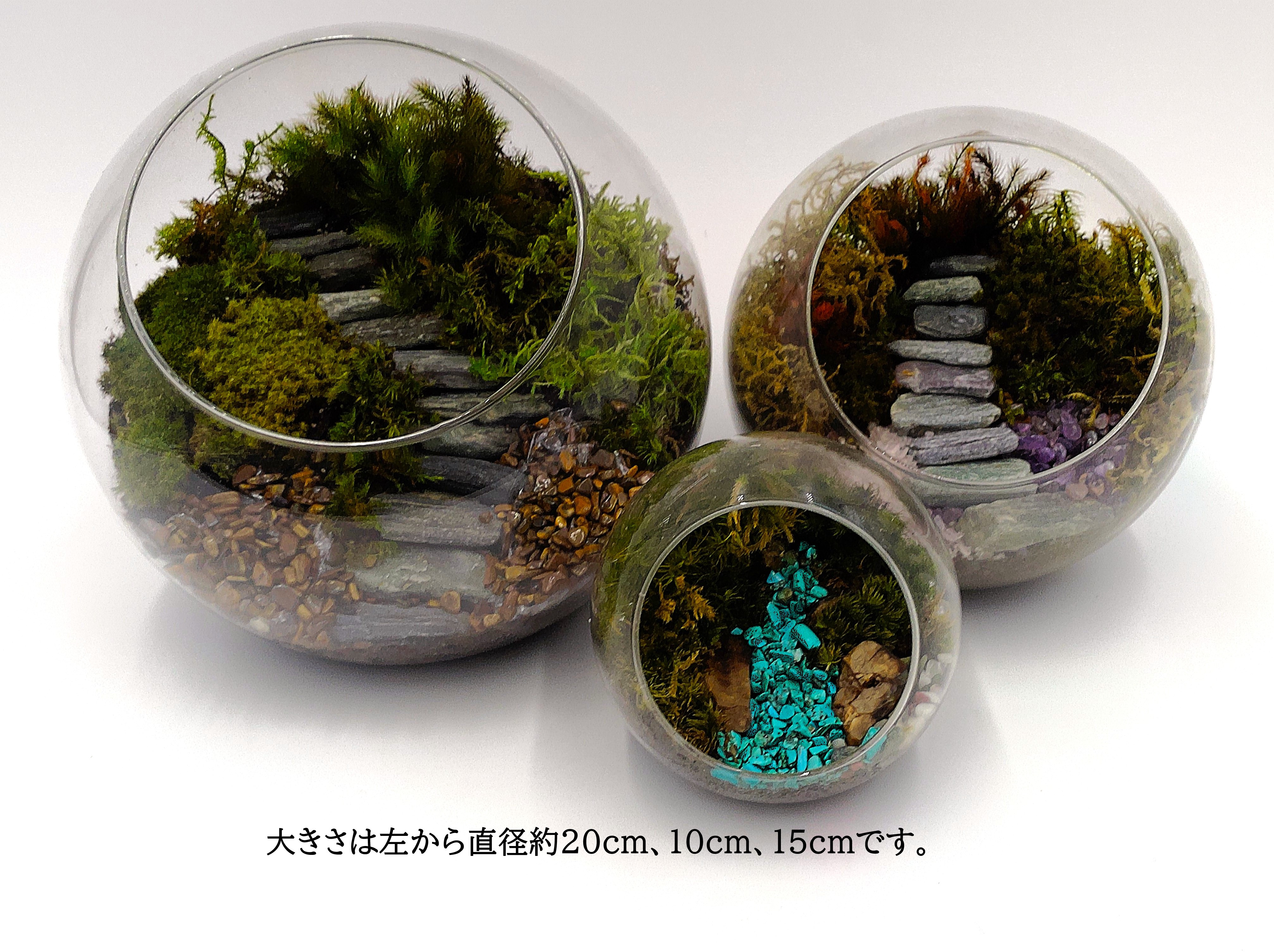 【ギフト専門】苔テラリウム 10cm ＜峡谷＞タイプ（選べる天然石のさざれ石）