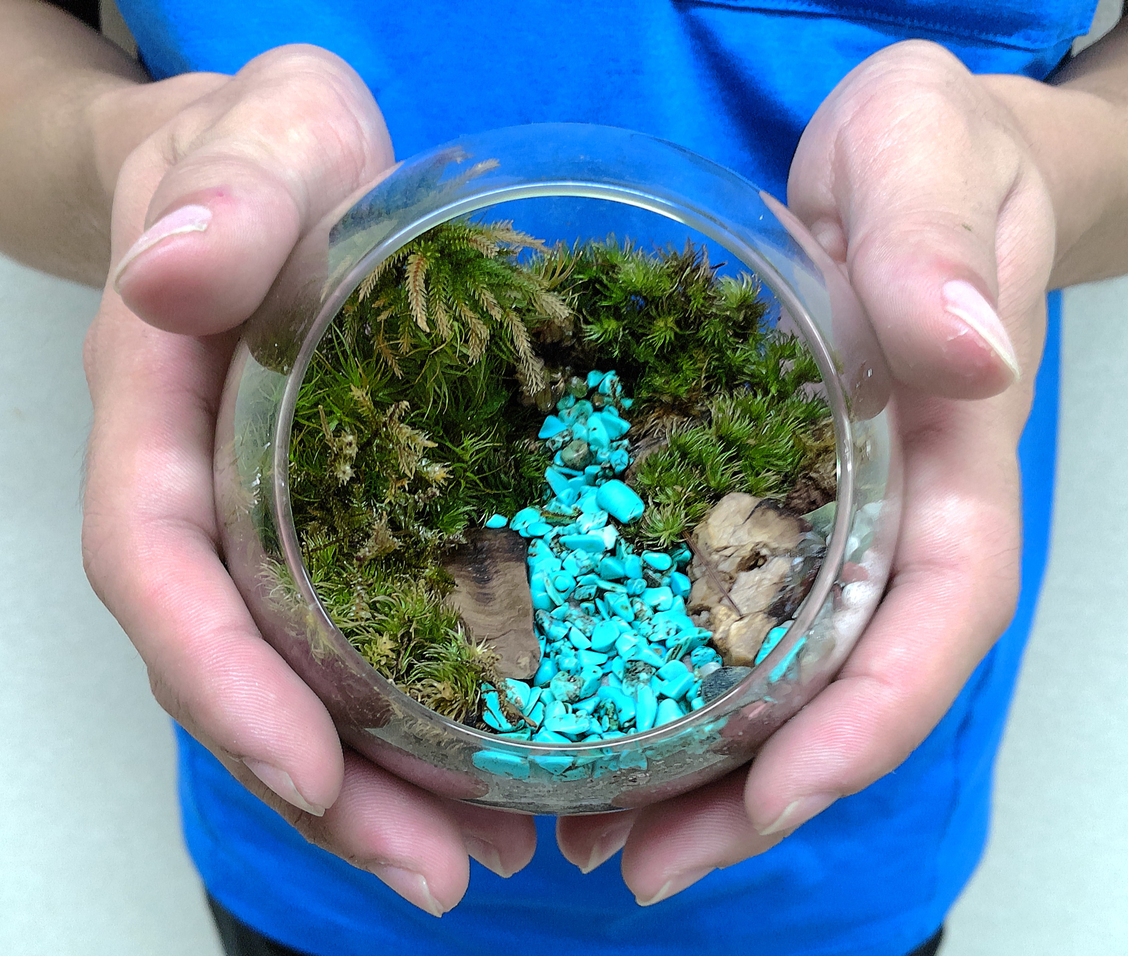 【ギフト専門】苔テラリウム 10cm ＜峡谷＞タイプ（選べる天然石のさざれ石）