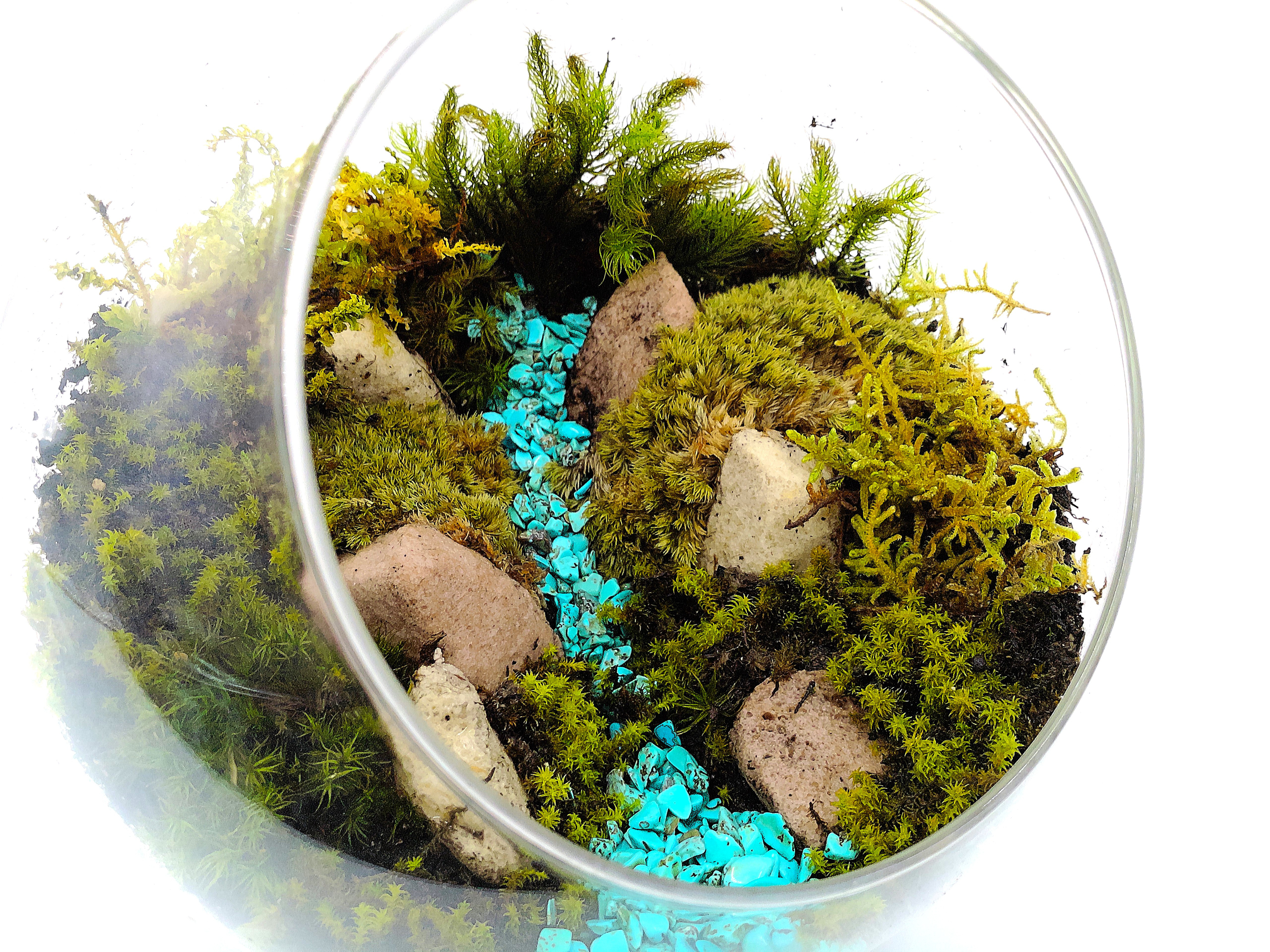 【ギフト専門】苔テラリウム 10cm ＜峡谷＞タイプ（選べる天然石のさざれ石）