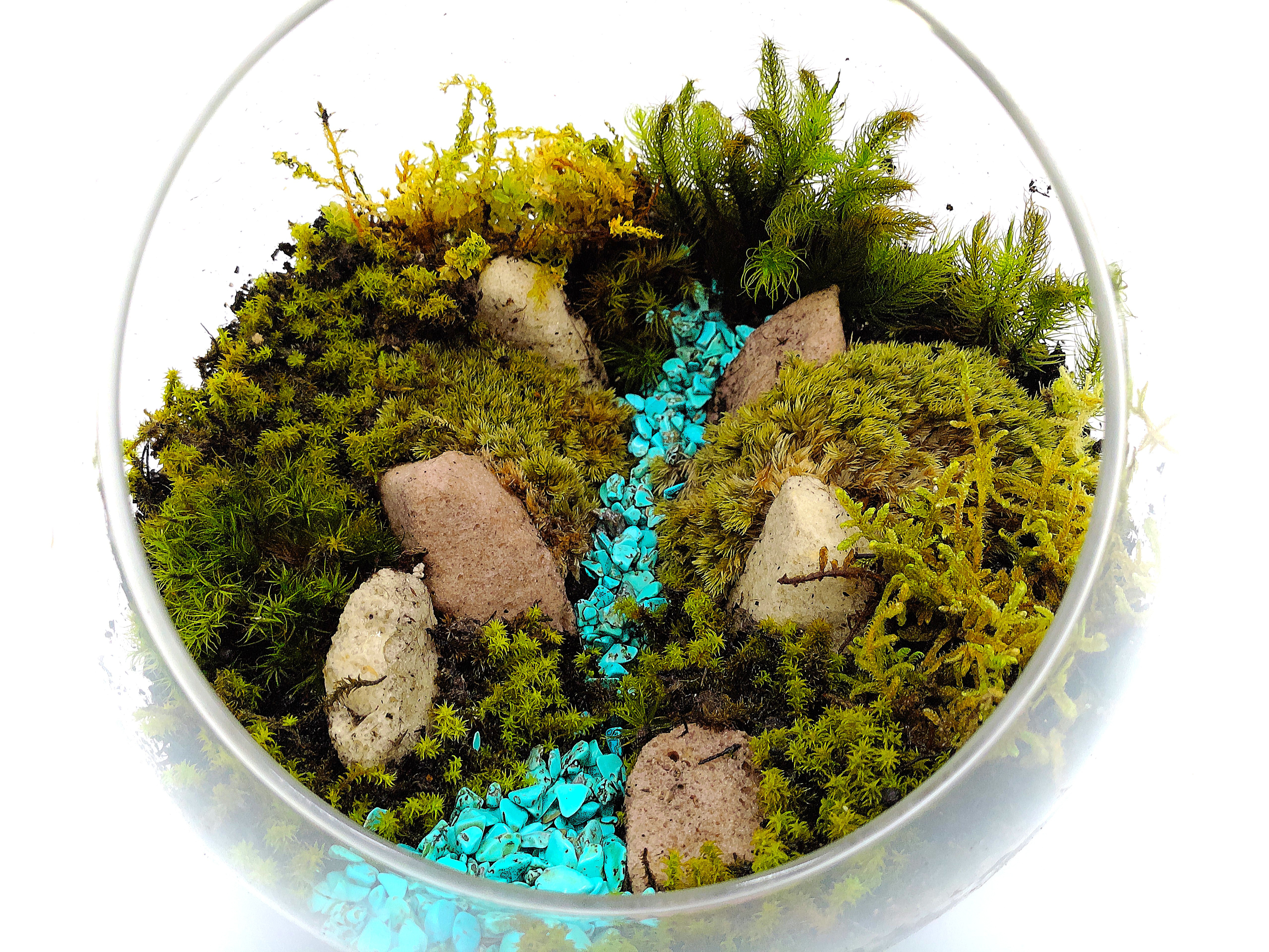 【ギフト専門】苔テラリウム 10cm ＜峡谷＞タイプ（選べる天然石のさざれ石）