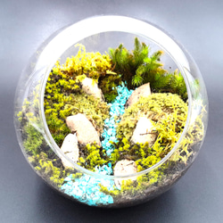 ギフト専門】苔テラリウム 15cm ＜森と川＞タイプ（選べる天然石の
