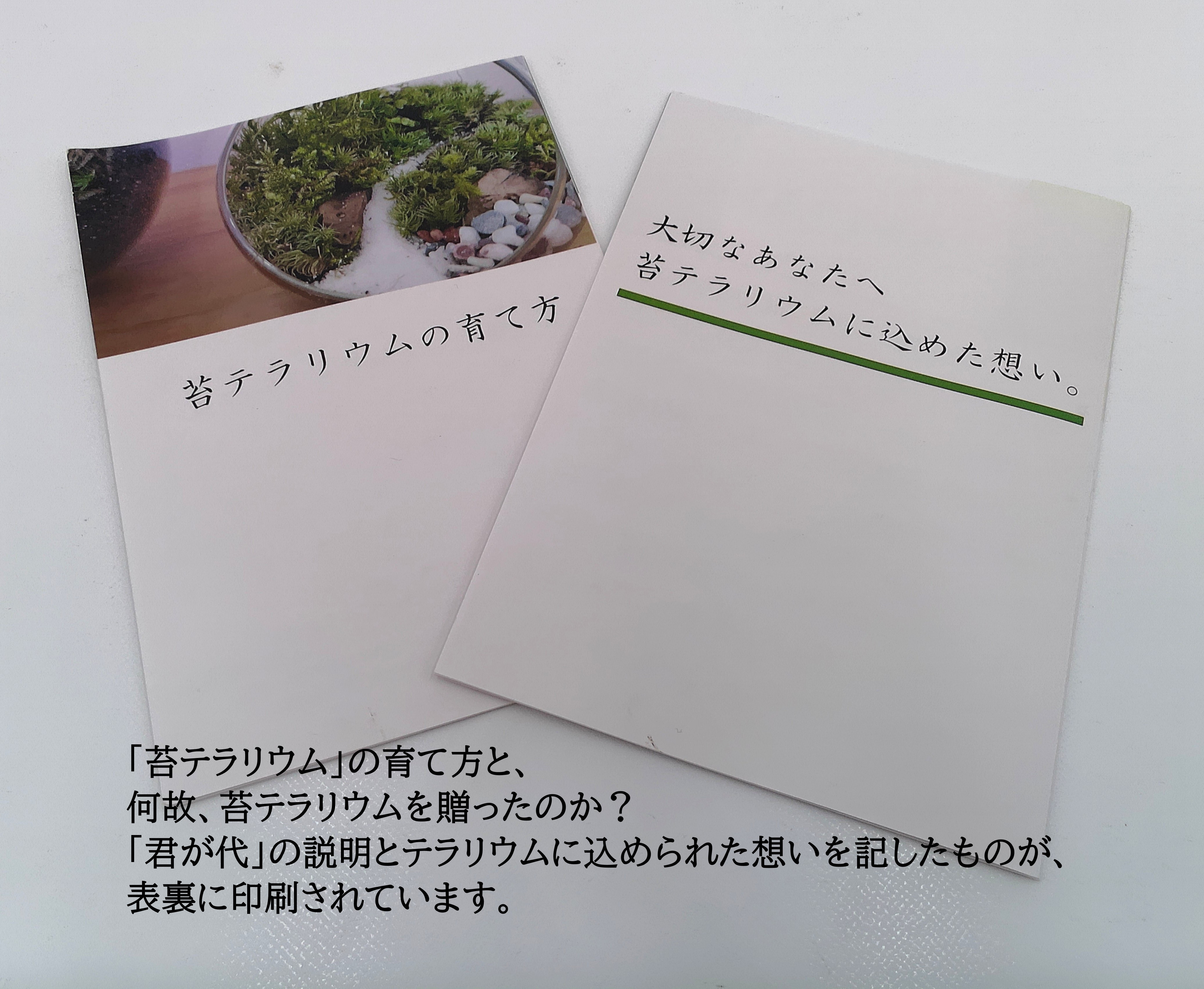 【ギフト専門】苔テラリウム 10cm ＜峡谷＞タイプ（選べる天然石のさざれ石）