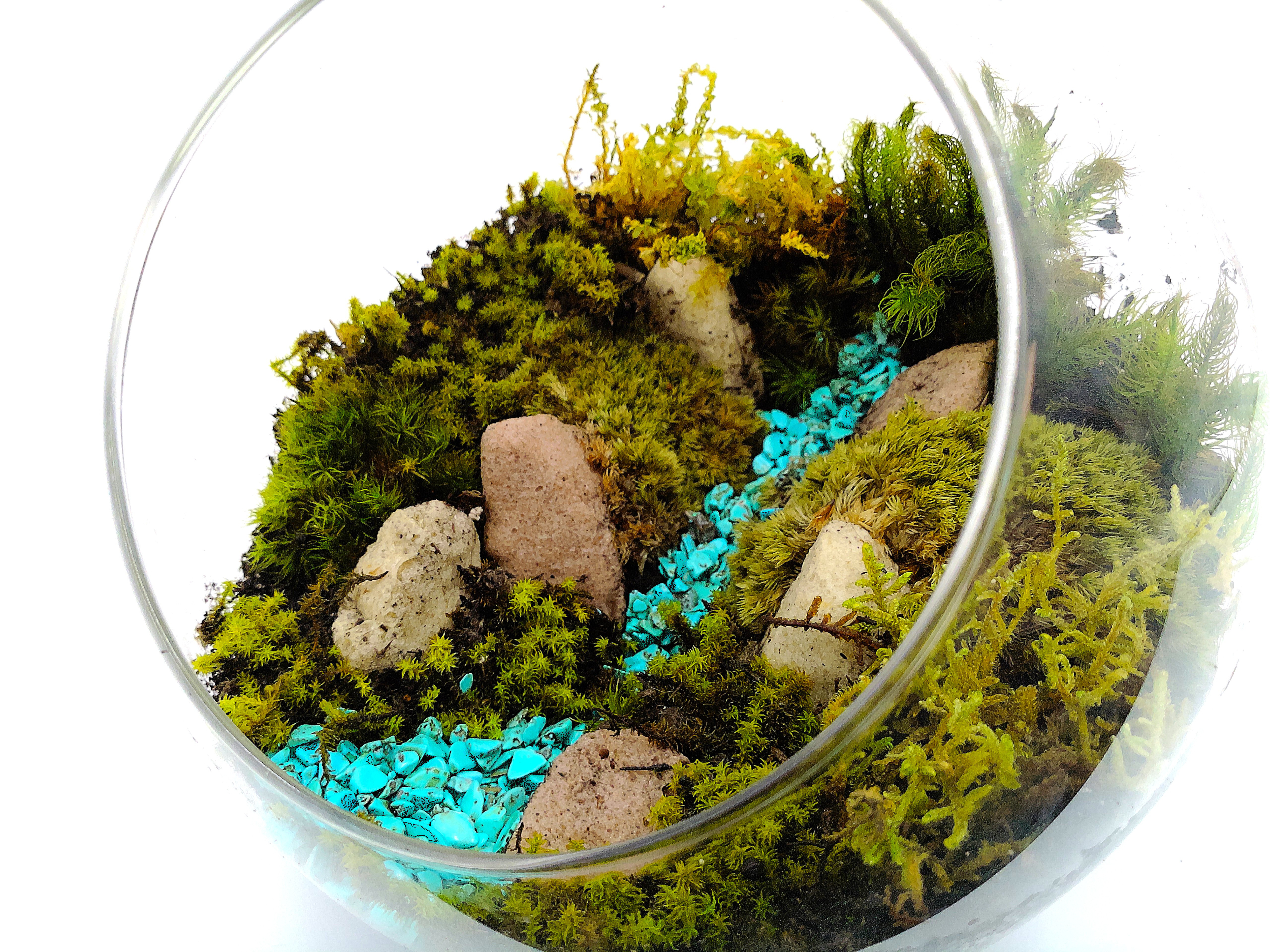 【ギフト専門】苔テラリウム 10cm ＜峡谷＞タイプ（選べる天然石のさざれ石）