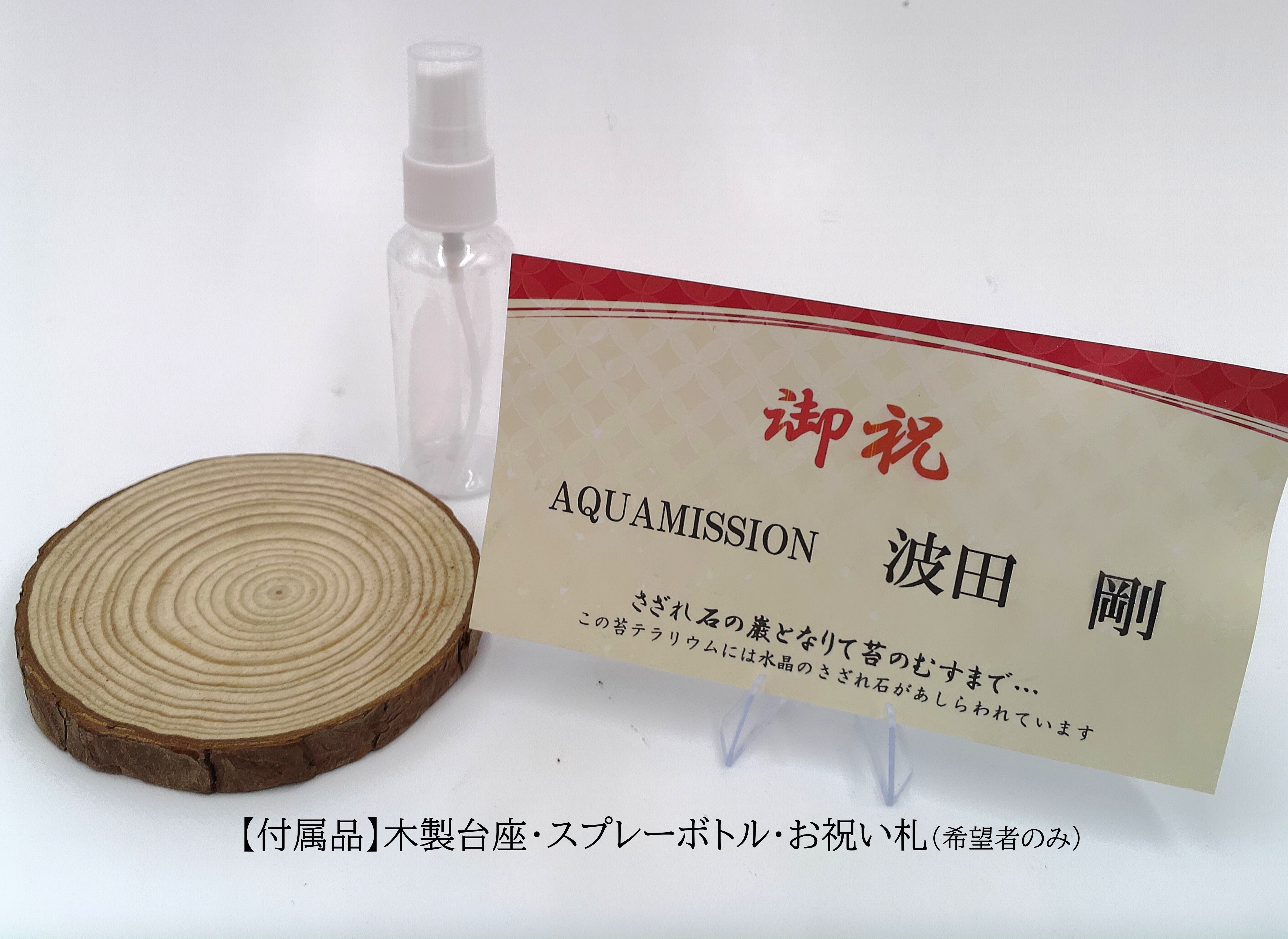 【ギフト専門】苔テラリウム 10cm ＜峡谷＞タイプ（選べる天然石のさざれ石）