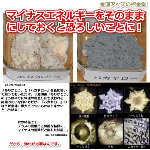 大八辰祈願『大金龍』／龍 置物 風水 龍神 辰 竜 干支 ドラゴン 発達祈願