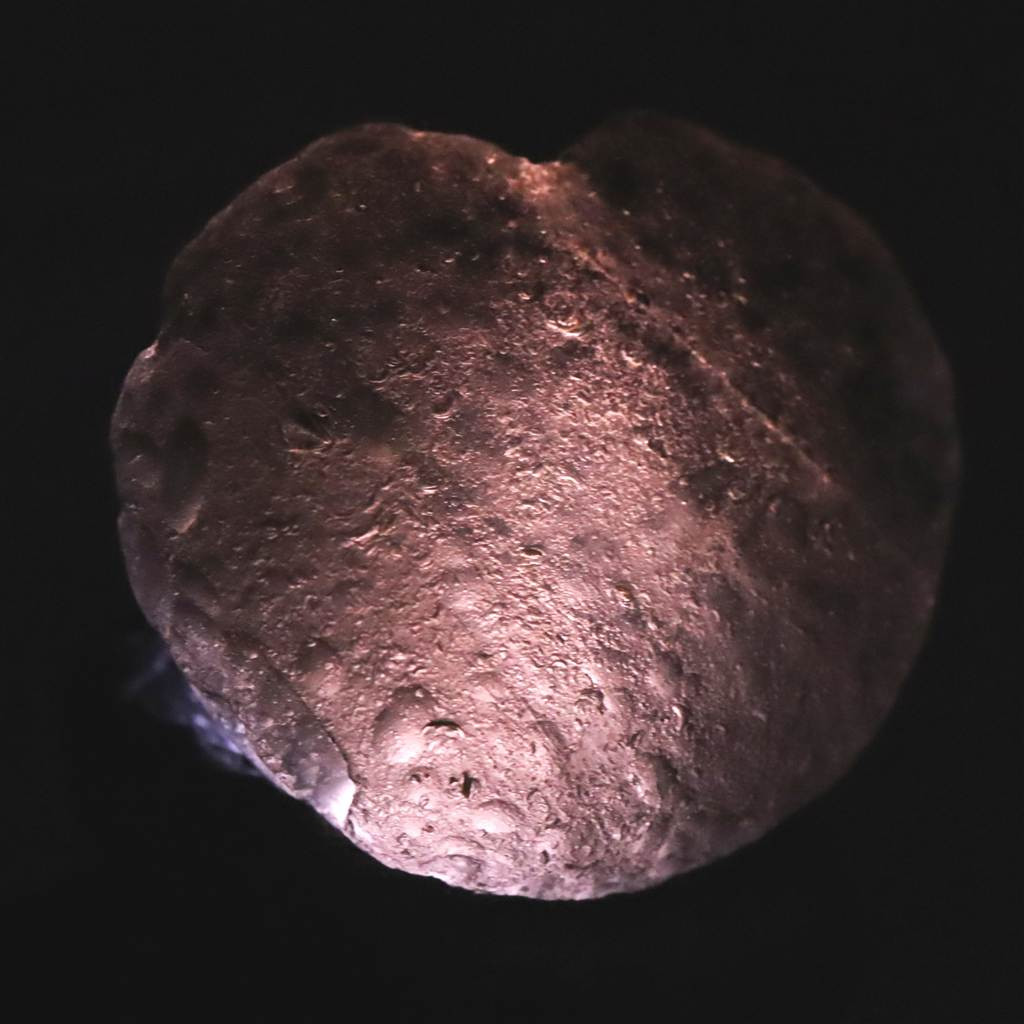 コロンビアナイト 原石 17.79g #43346