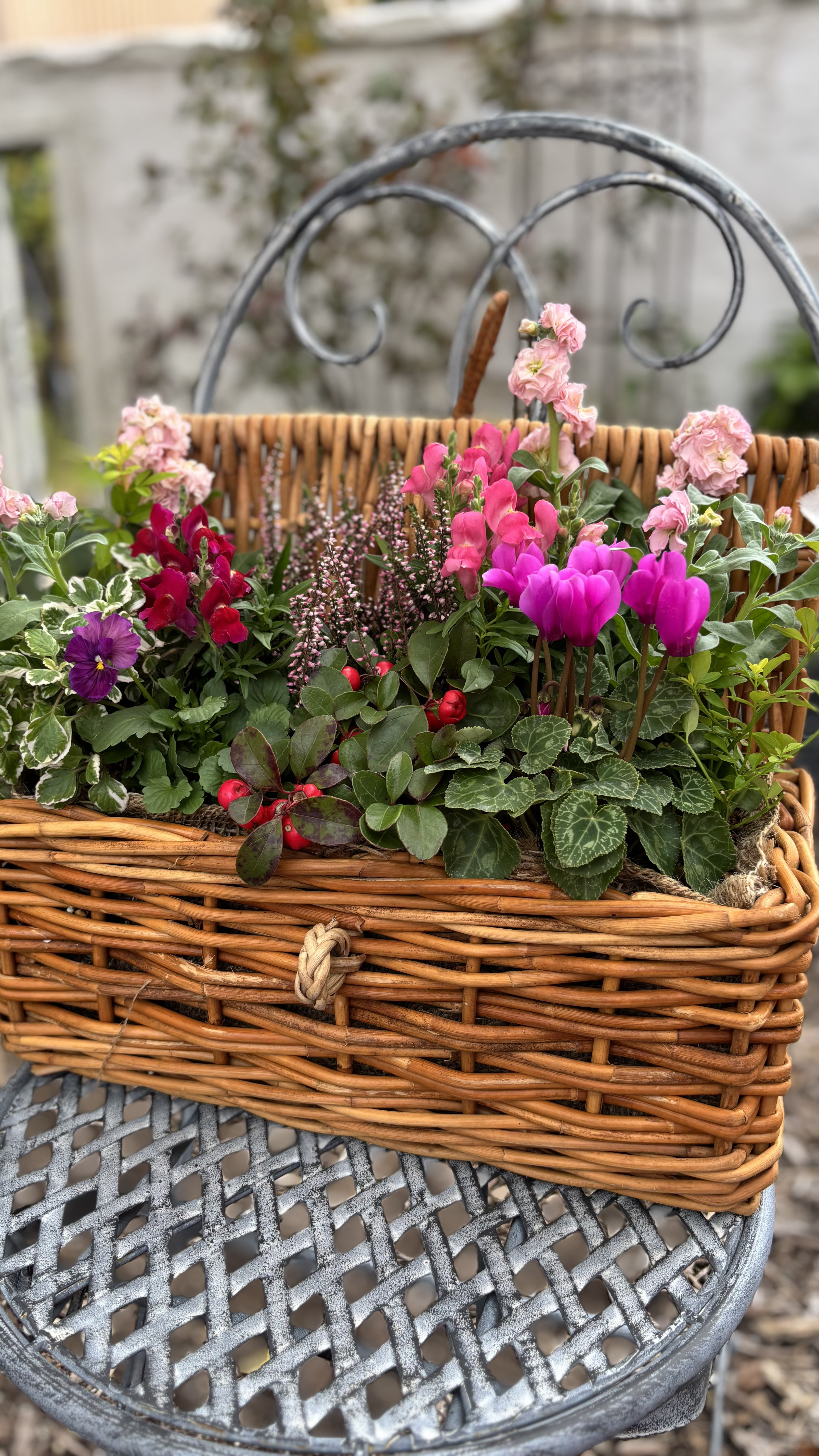 セミオーダー　アラログ　バスケット　寄せ植え　ギフト