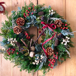 ✤28〜30センチ✤針葉樹とホワイト系のクリスマスリース*ハーフリース