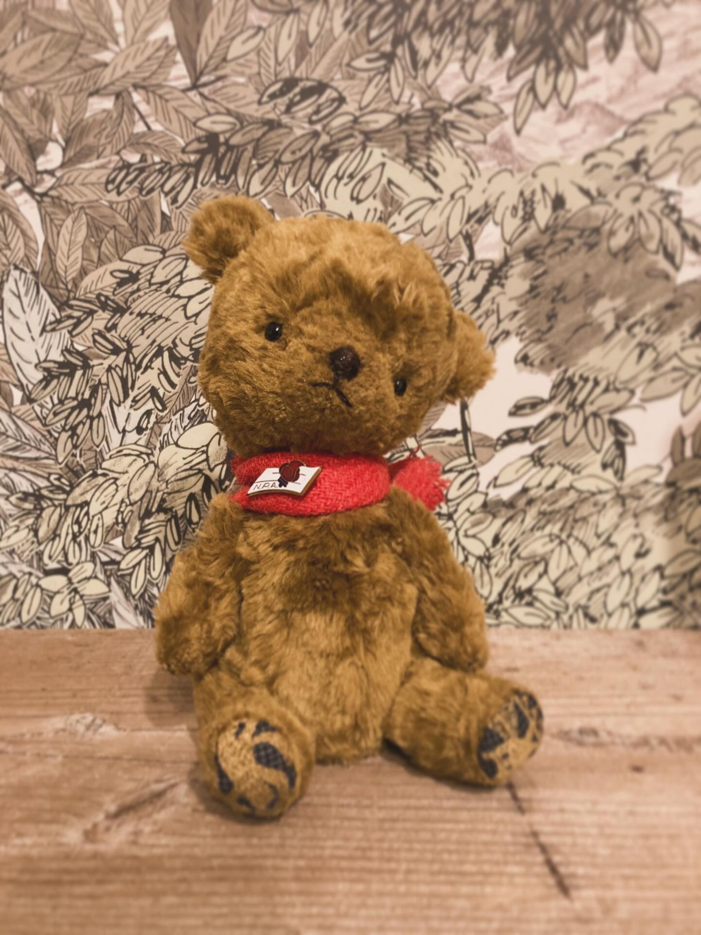 テディベア　Ginger Cookie