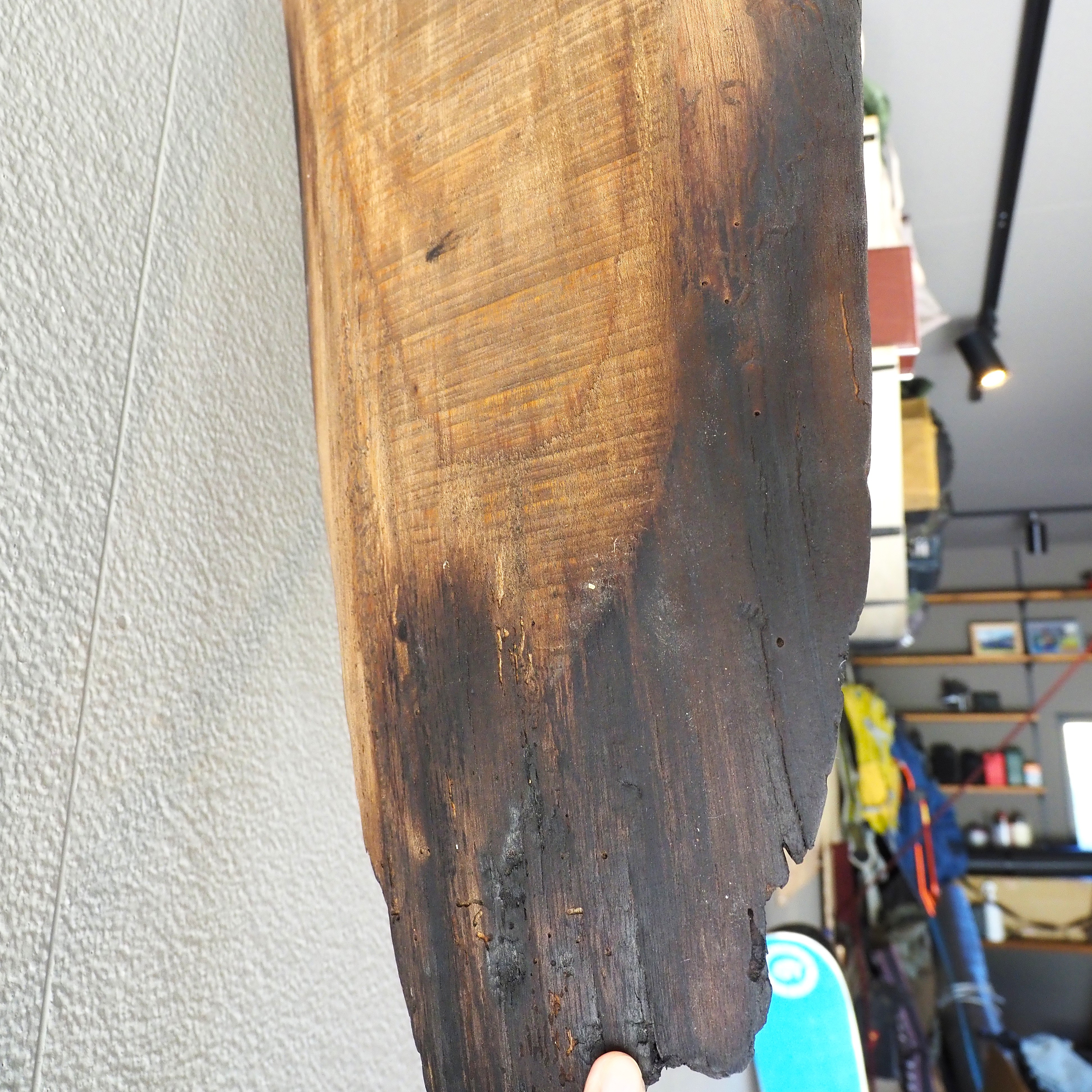 鹿の頭蓋骨の壁掛け飾り スカルオブジェ【燃えた古材の台座】