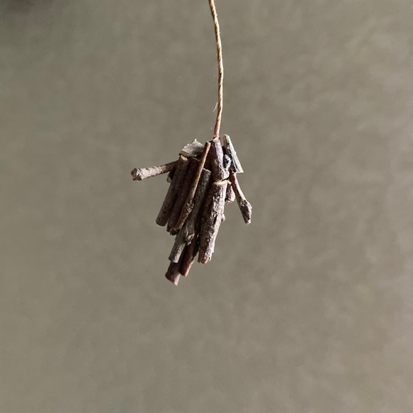 9878.bud ミノムシ 2枚目の画像