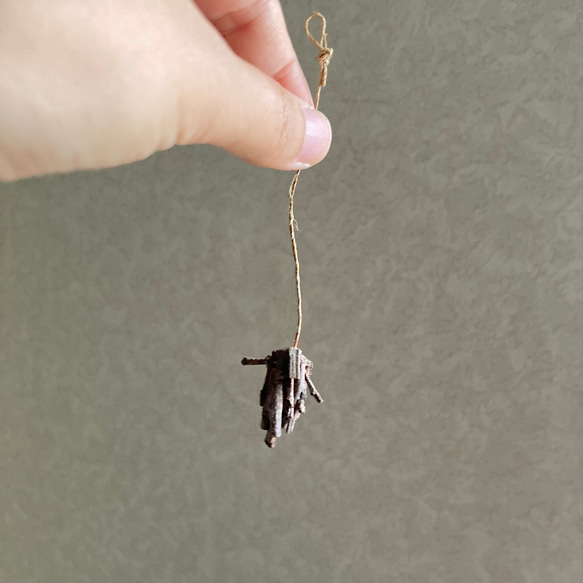 9878.bud ミノムシ 5枚目の画像