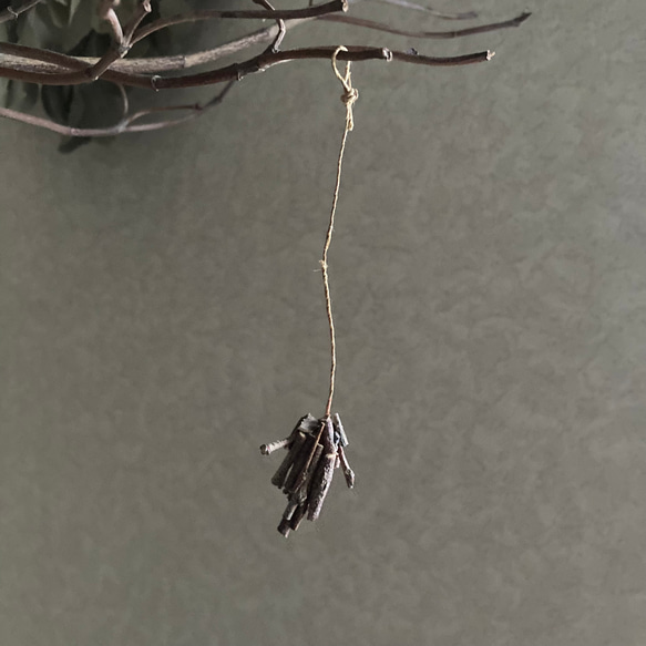 9878.bud ミノムシ 1枚目の画像