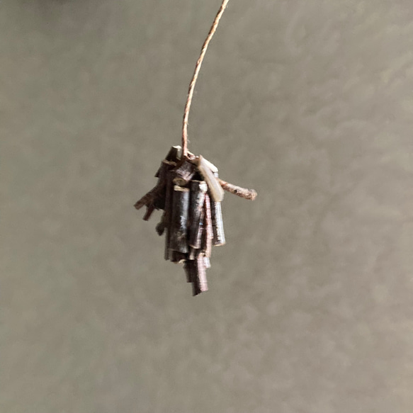 9878.bud ミノムシ 3枚目の画像