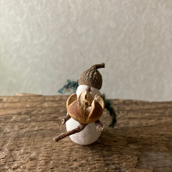 9891.bud スノーさん 1枚目の画像