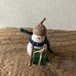 9896.bud スノーさん 3枚目の画像