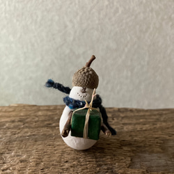 9896.bud スノーさん 1枚目の画像