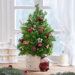 金太郎 前掛け&ハチマキセット 雑貨・その他 アオバ 通販 17571503