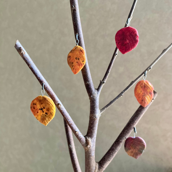 9898.bud 秋の1日 / 雪の降る日〔小〕 10枚目の画像