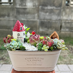 ☆送料無料☆♡そのまま飾れる♡クリスマス☆トナカイの多肉植物寄せ