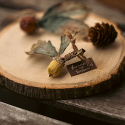 刺繍糸 の どんぐり ブローチ　オーク 　緑色 1枚目の画像