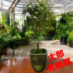 光触媒 人工観葉植物 ウォールグリーン フェイクグリーン ウッド