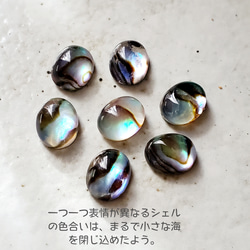 アバロンシェル チェーンリング  “人とかぶらない”私の定番RS-234 5枚目の画像