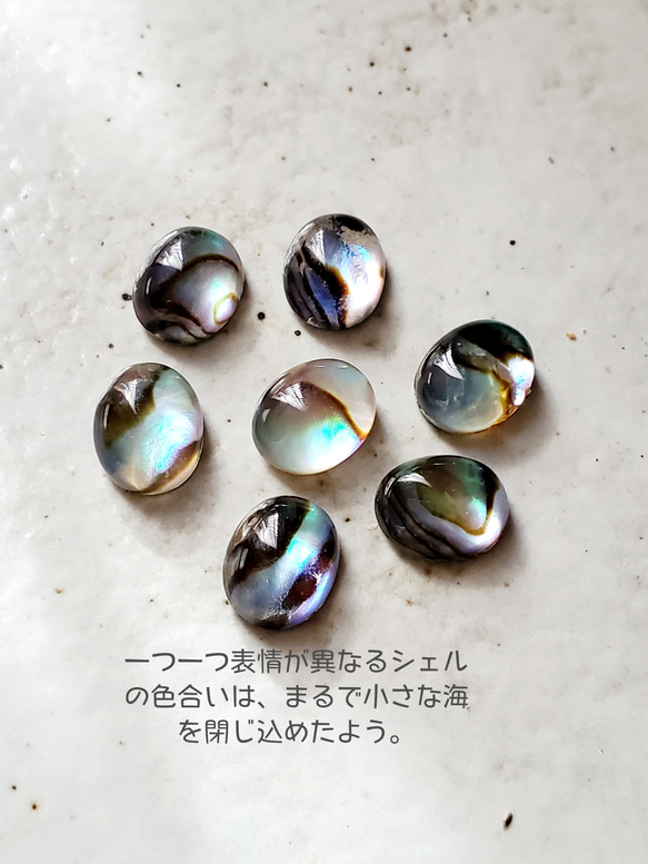 アバロンシェル チェーンリング  “人とかぶらない”私の定番RS-234 5枚目の画像