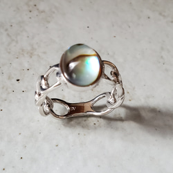 アバロンシェル チェーンリング  “人とかぶらない”私の定番RS-234 7枚目の画像