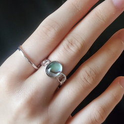 アバロンシェル チェーンリング  “人とかぶらない”私の定番RS-234 2枚目の画像