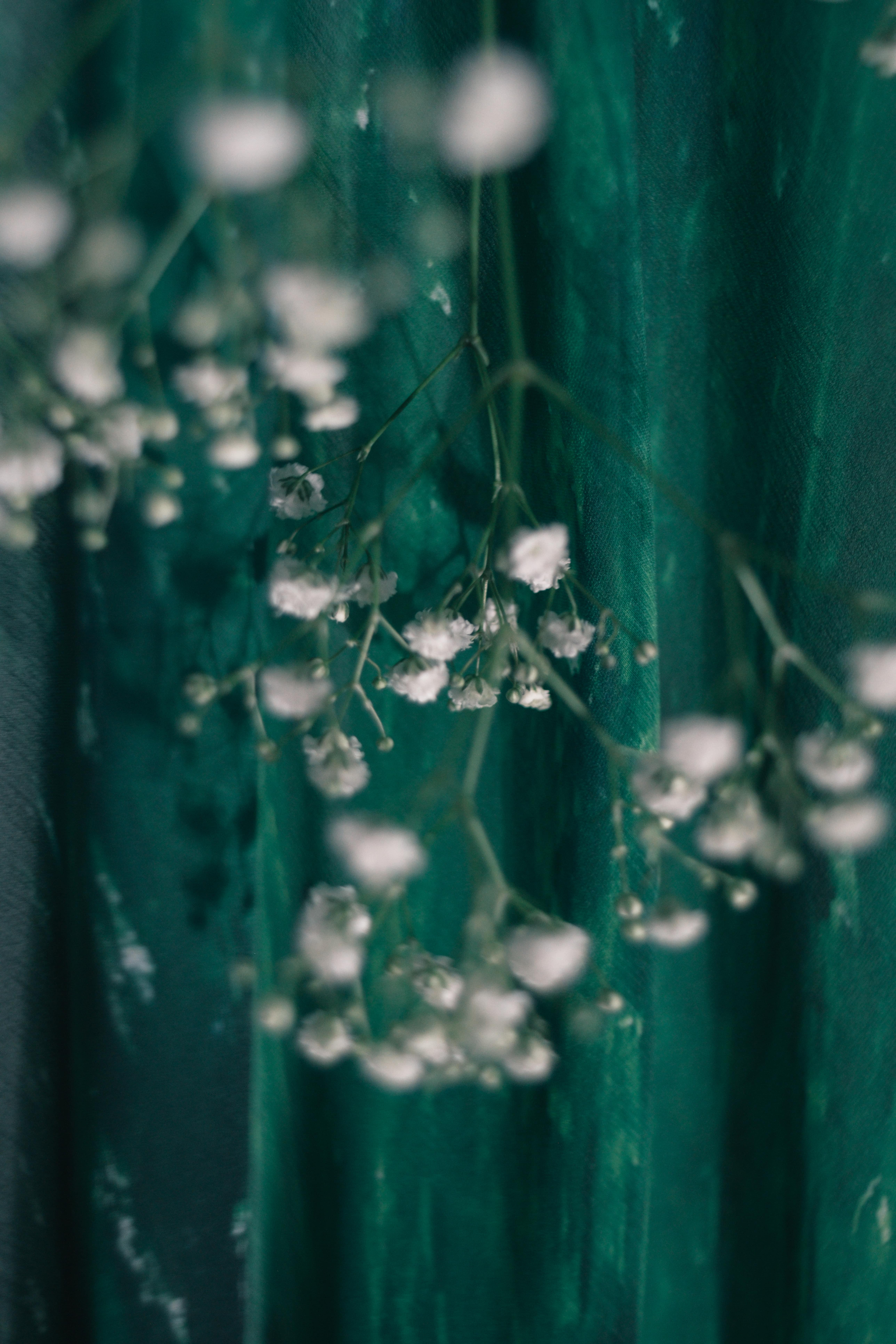 森、昼。