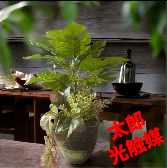 光触媒　人工観葉植物　ウォールグリーン　フェイクグリーン　タイ風モンステラ38 1枚目の画像