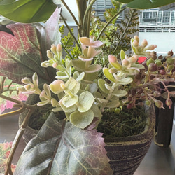 光触媒　人工観葉植物　ウォールグリーン　フェイクグリーン　タイ風モンステラ38 4枚目の画像